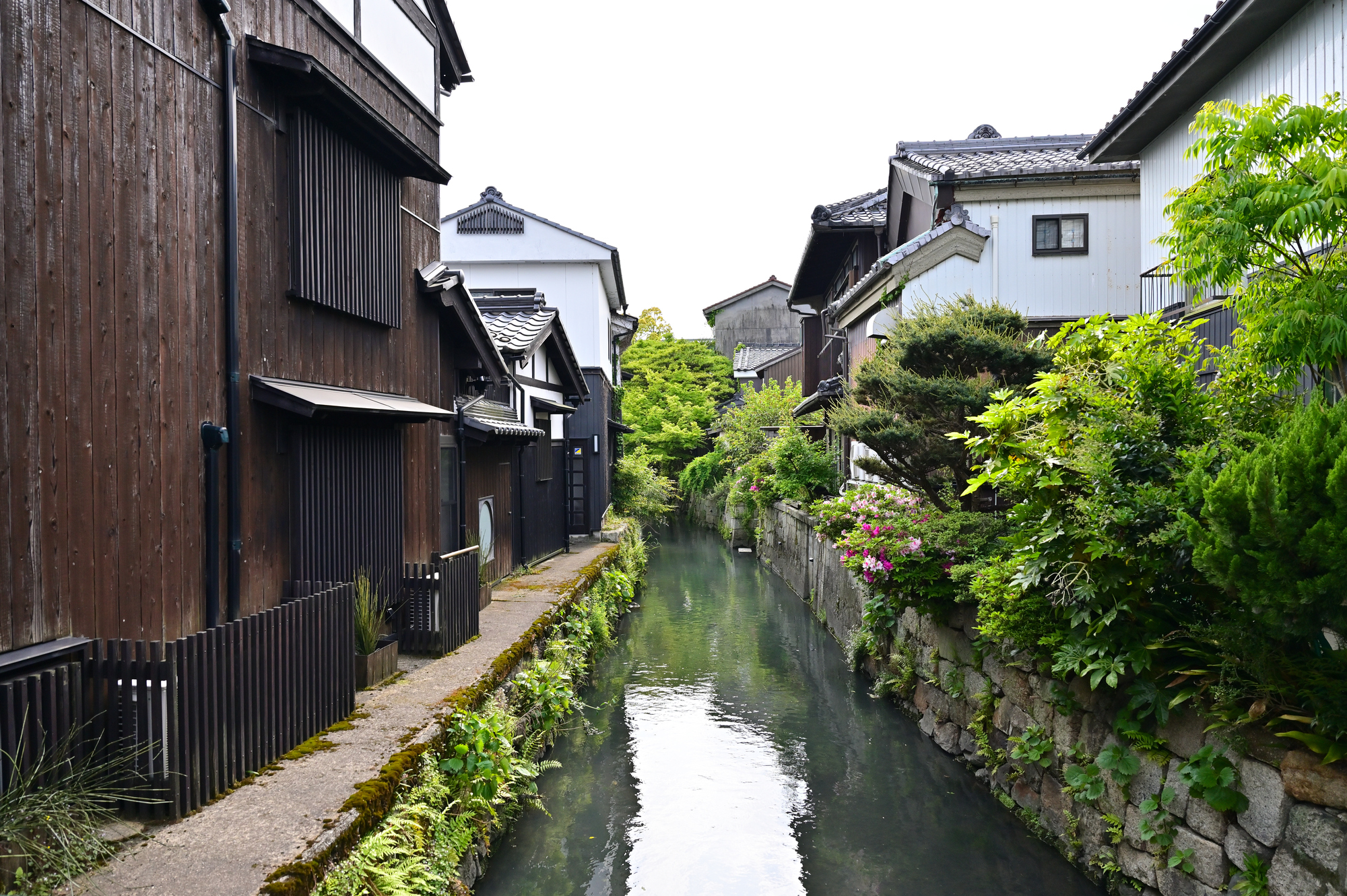 米川(淀川水系)ライブカメラ一覧