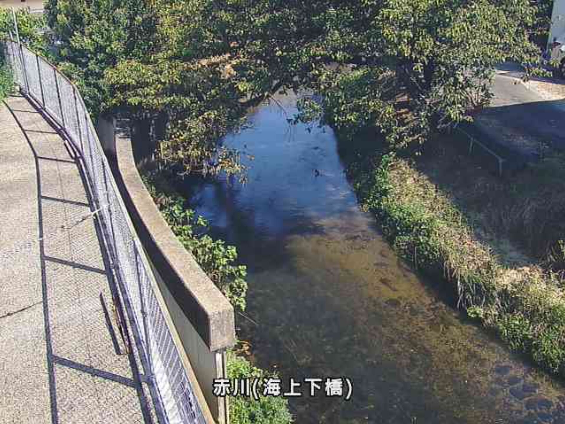 赤川海上下橋ライブカメラ(島根県出雲市渡橋町)