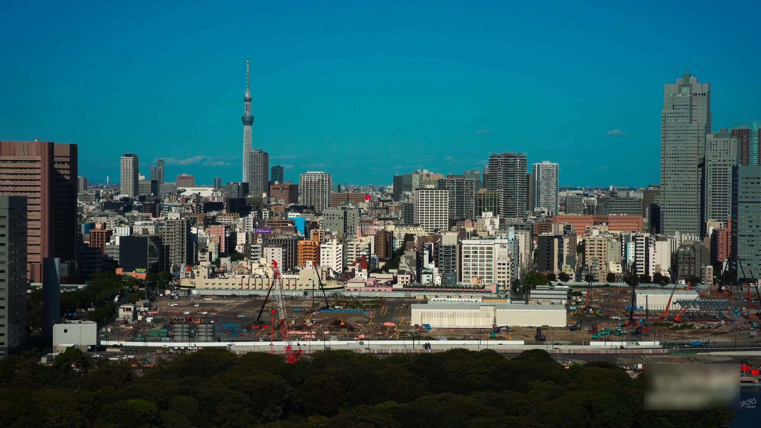 浜離宮築地大橋ライブカメラ(東京都港区海岸)