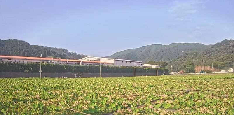 蓮の花苑ライブカメラ(兵庫県姫路市夢前町置本)