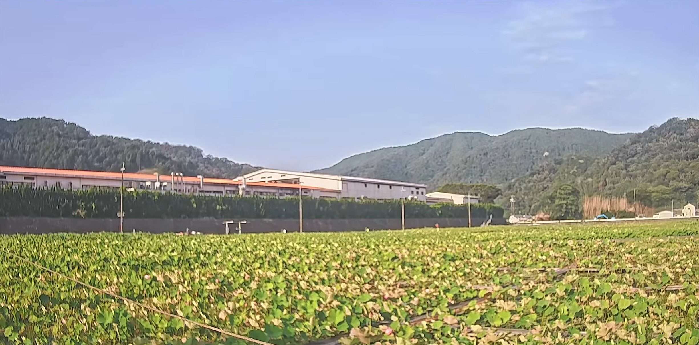 蓮の花苑ライブカメラ(兵庫県姫路市夢前町置本)