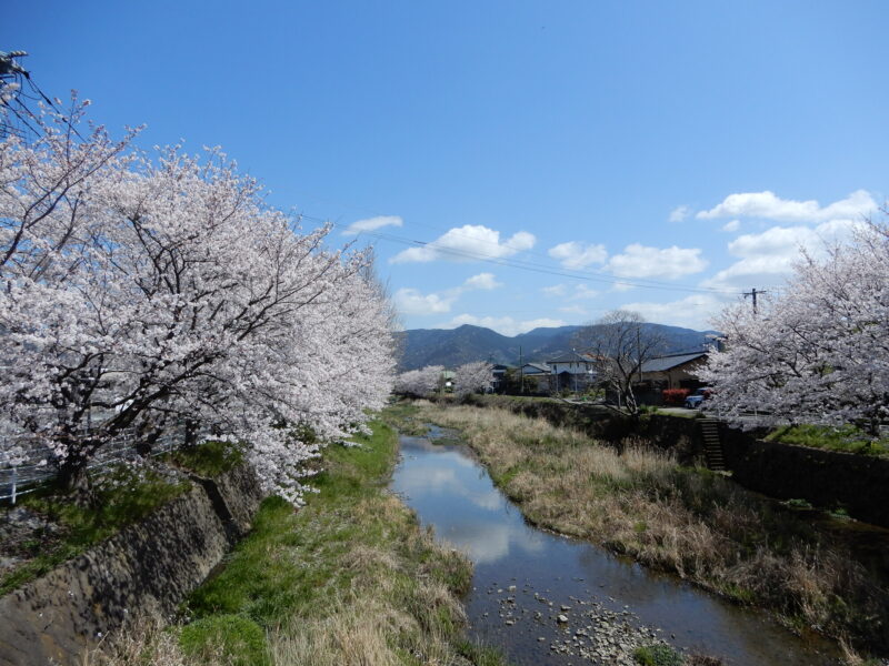 久原川(多々良川水系 - 福岡県)ライブカメラ一覧