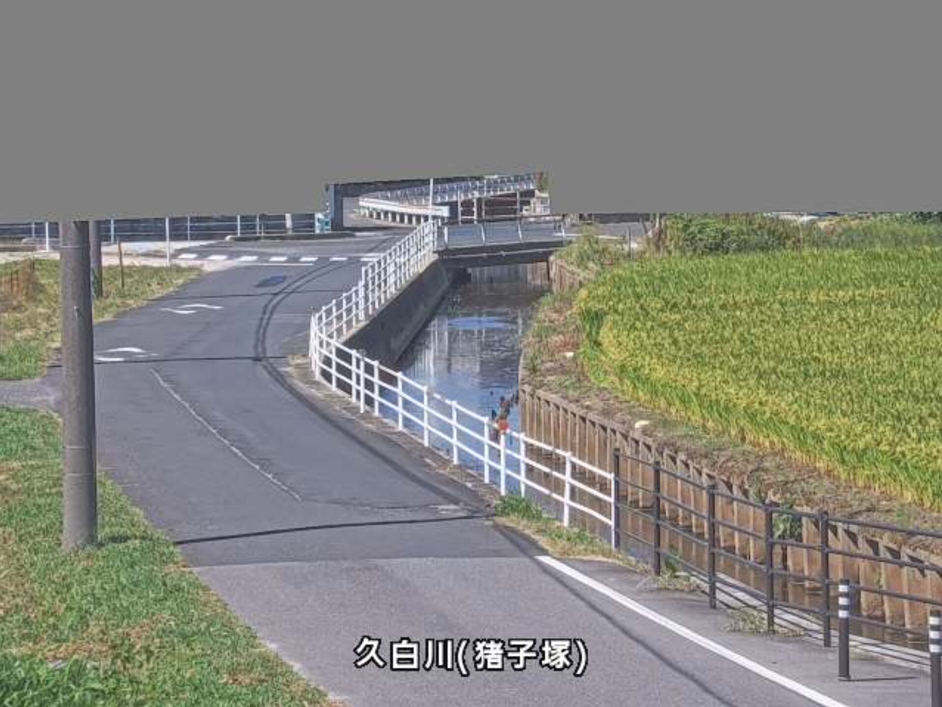 久白川猪子塚ライブカメラ(島根県安来市荒島町)