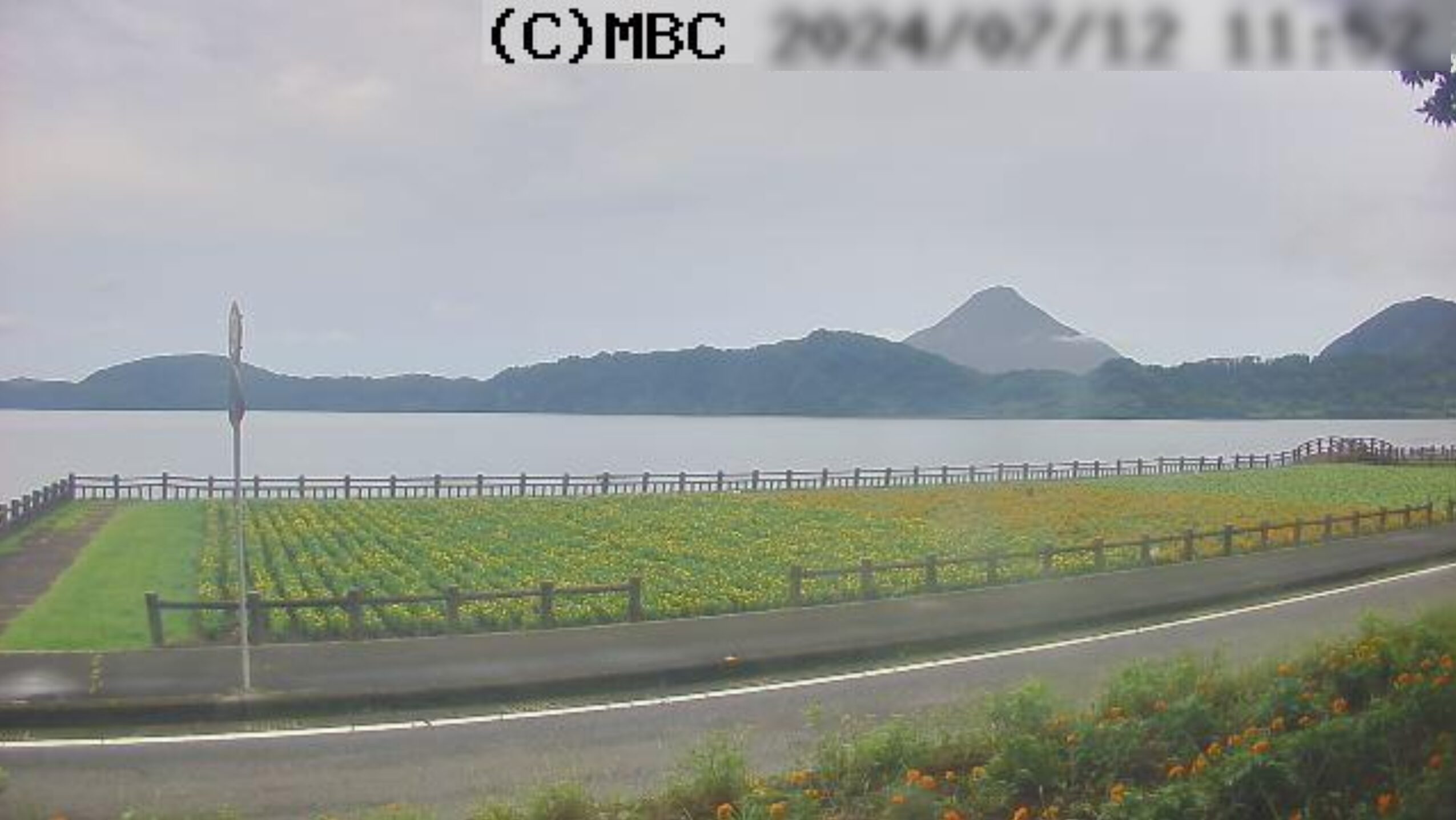 MBC池田湖マリーゴールドライブカメラ(鹿児島県指宿市)