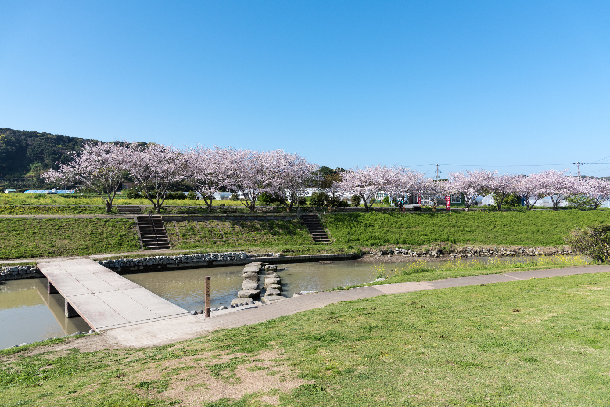 岡本川(岡本川水系)ライブカメラ一覧