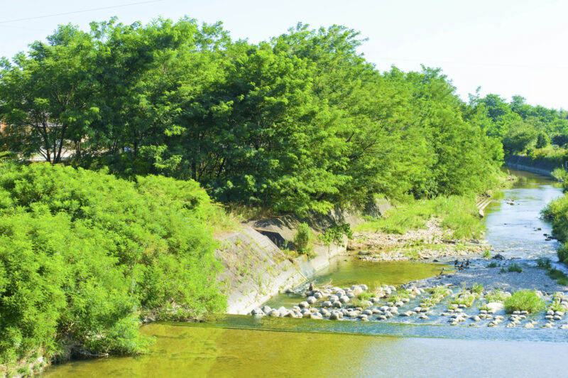 瀬戸川(庄内川水系)ライブカメラ一覧