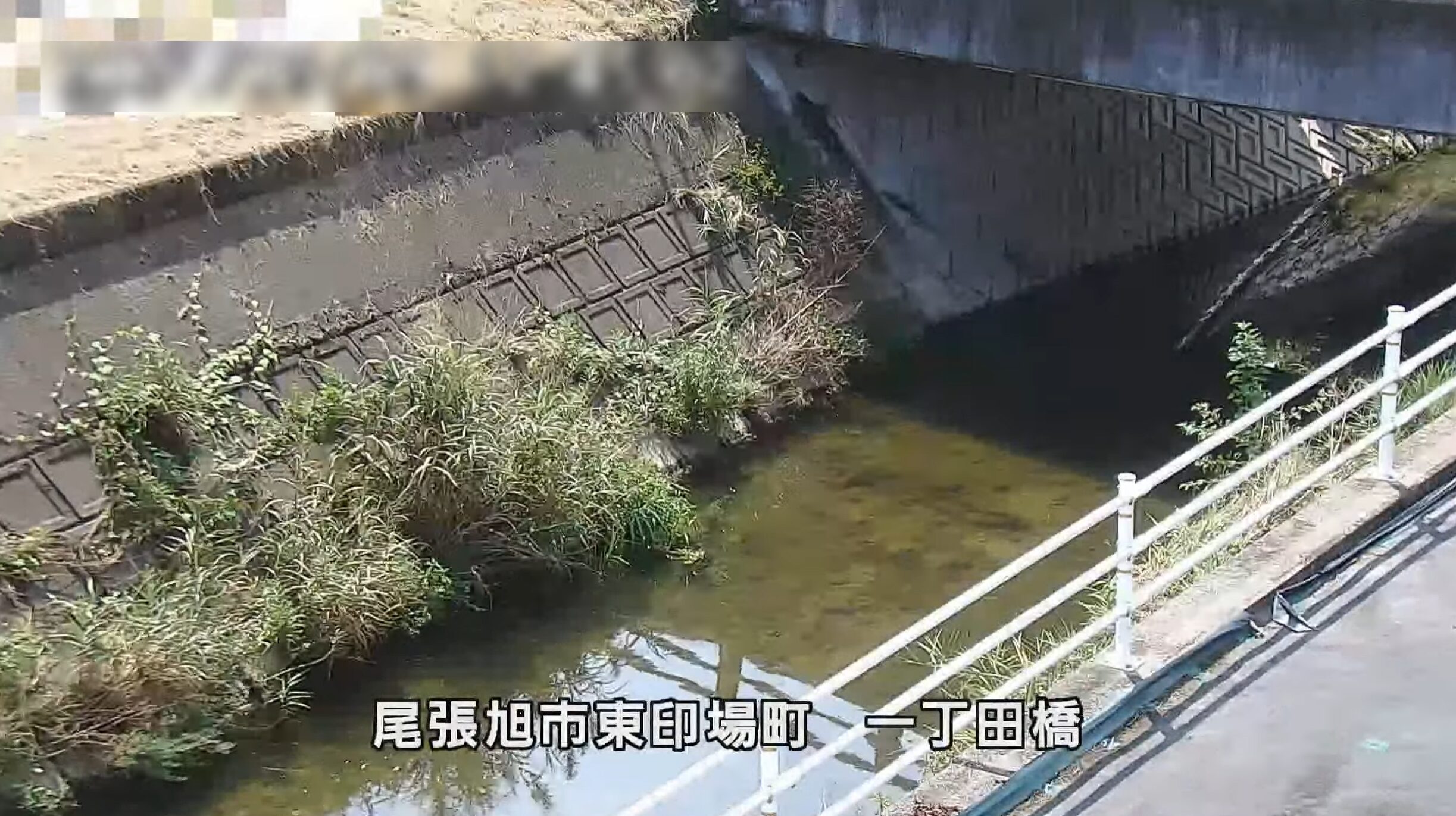 天神川一丁田橋ライブカメラ(愛知県尾張旭市東印場町)