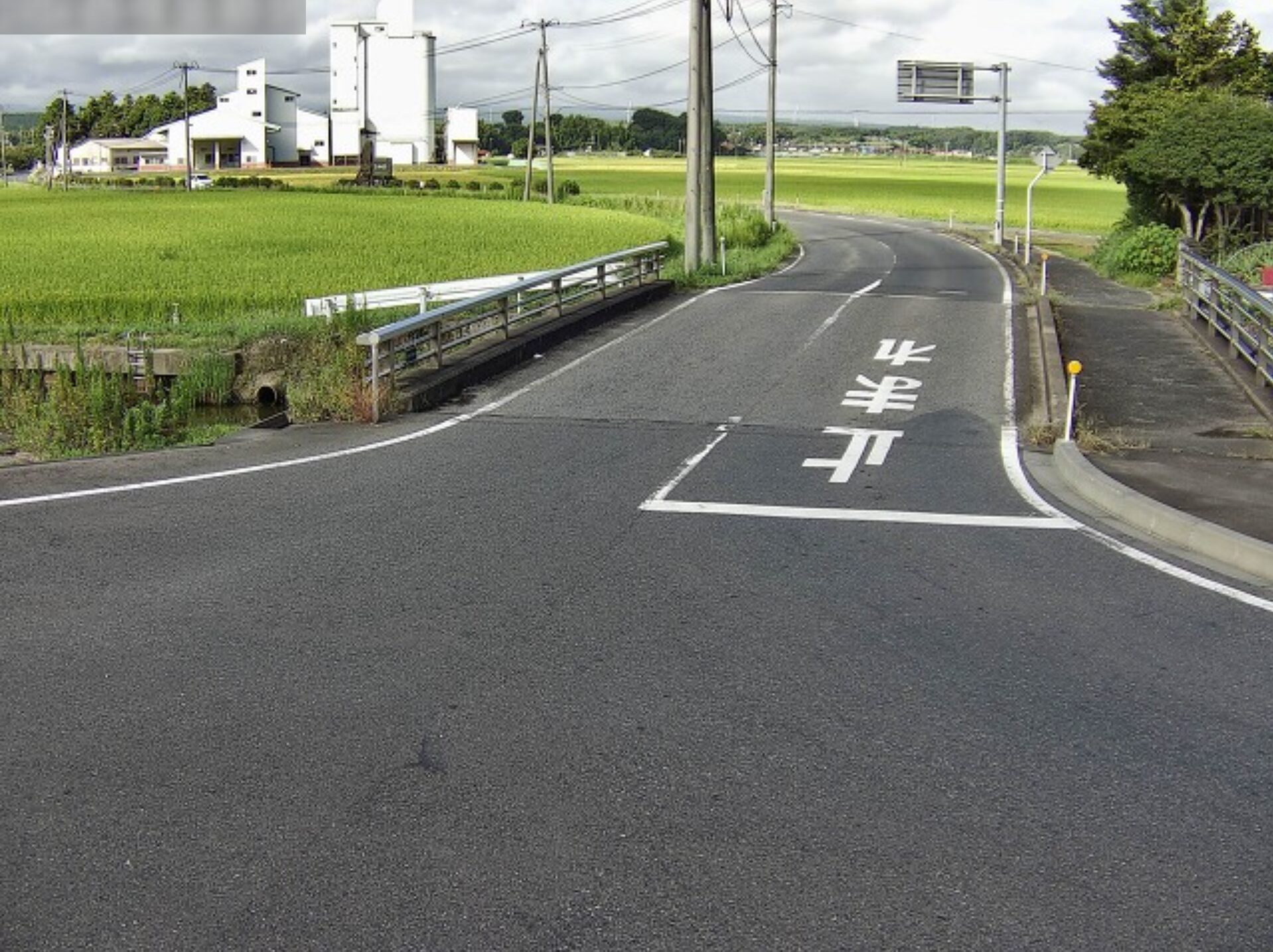 鳥取県道250号亀谷北条線亀谷大島ライブカメラ(鳥取県北栄町大島)