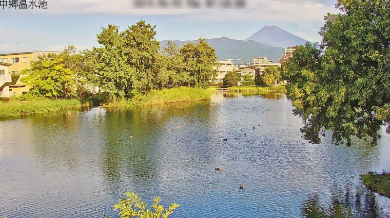 源兵衛川中郷温水池ライブカメラ(静岡県三島市富田町)