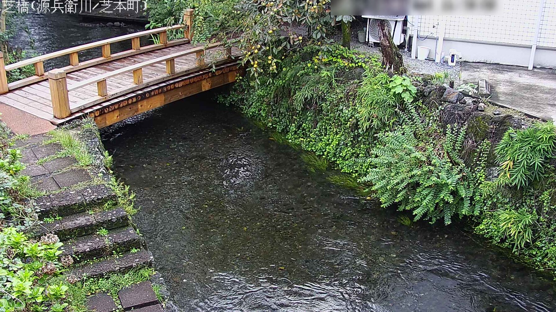 源兵衛川芝橋ライブカメラ(静岡県三島市芝本町)