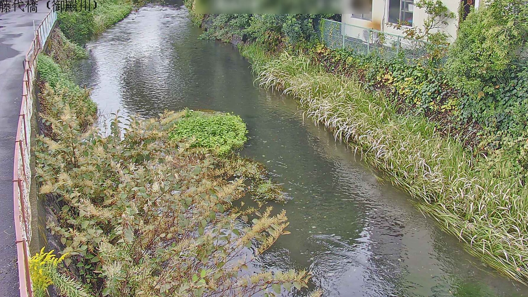 御殿川藤代橋ライブカメラ(静岡県三島市藤代町)