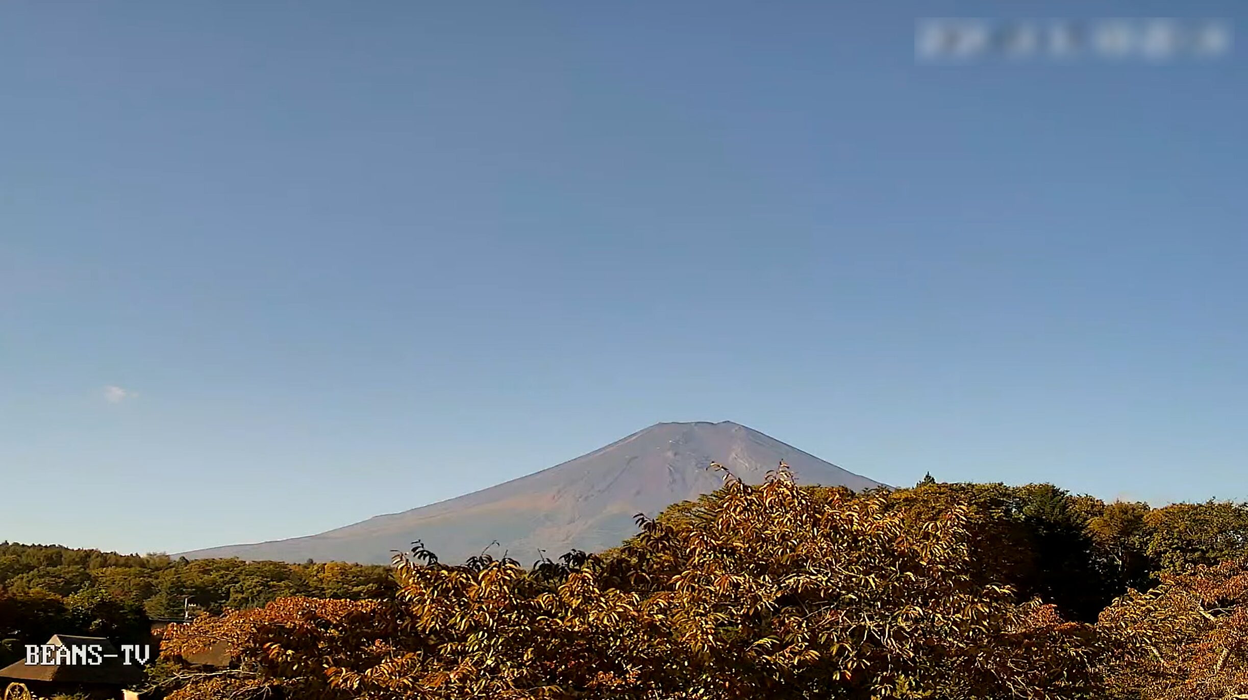 忍野八海富士山ライブカメラ(山梨県忍野村忍草)