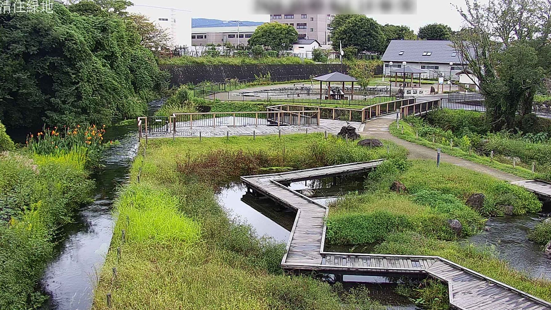 境川清住緑地ライブカメラ(静岡県三島市清住町)