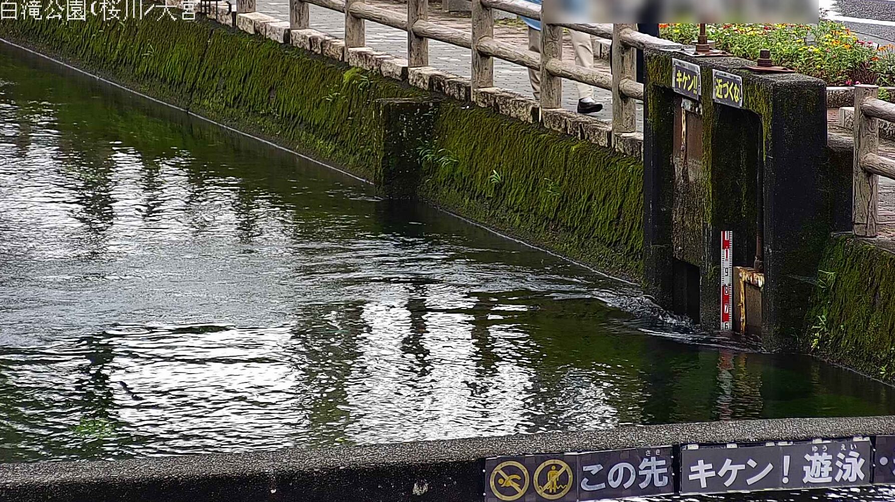 桜川白滝公園ライブカメラ(静岡県三島市大宮町)