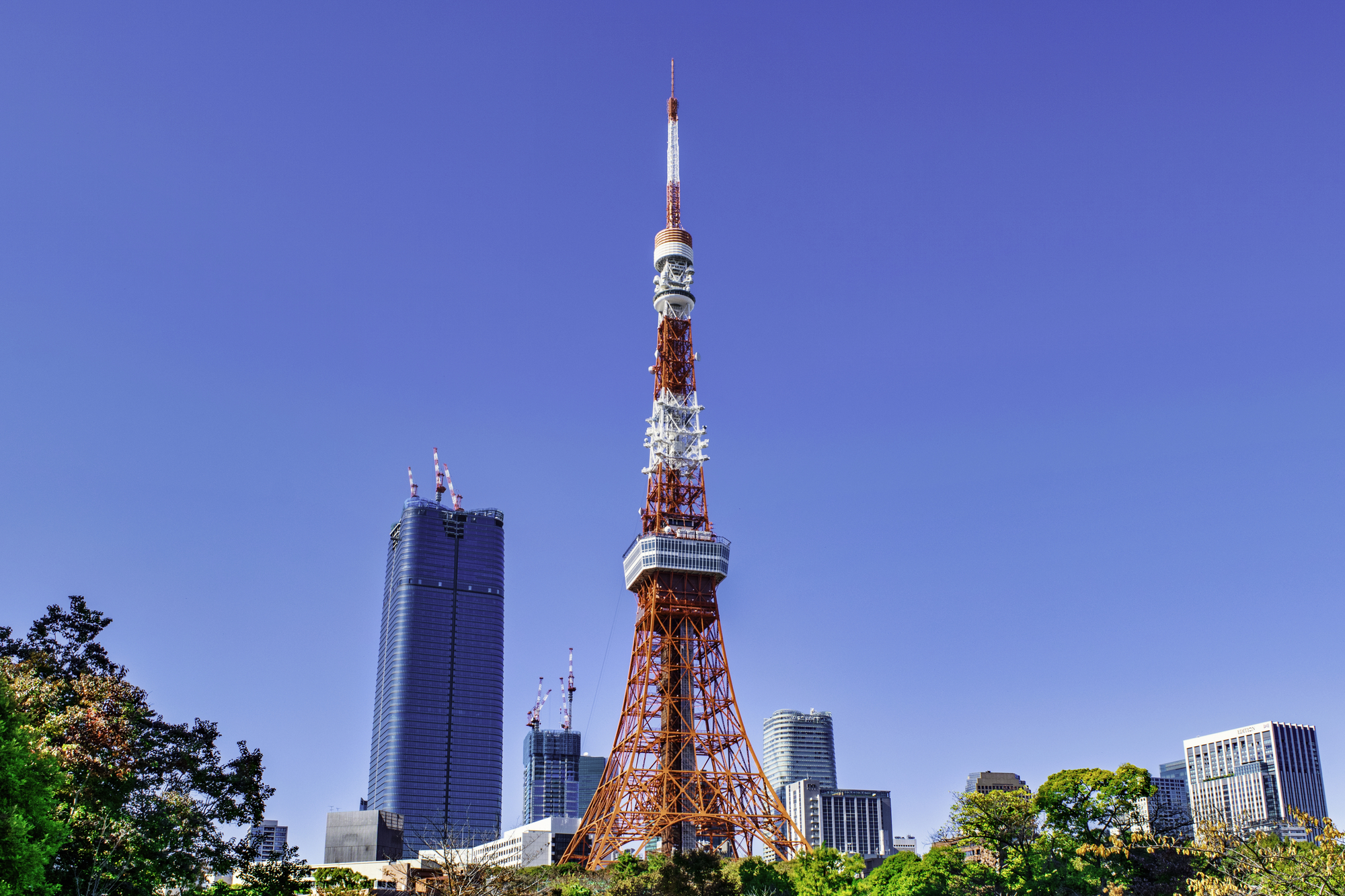 東京タワーライブカメラ一覧