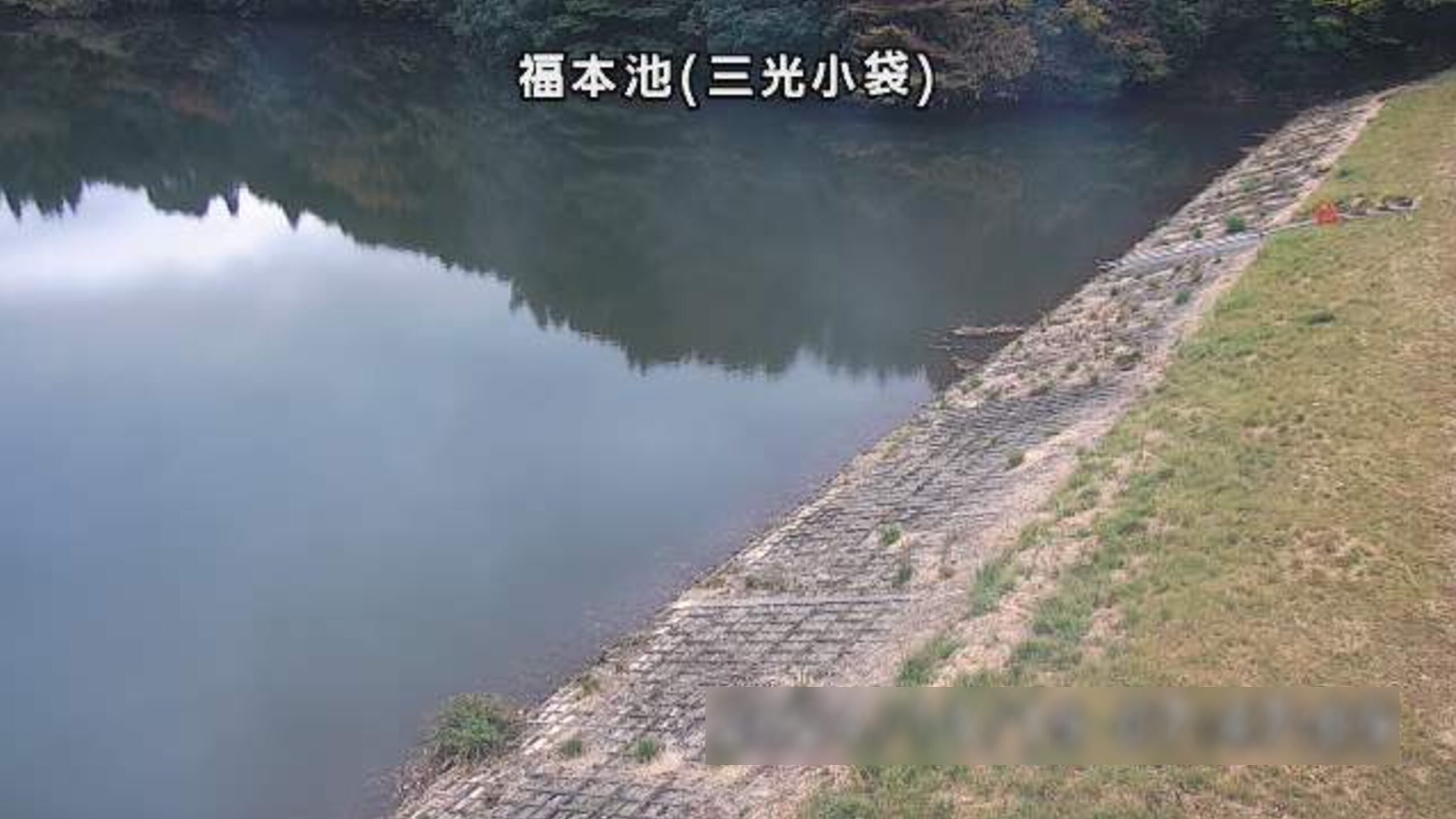 福本池ライブカメラ(大分県中津市三光小袋)