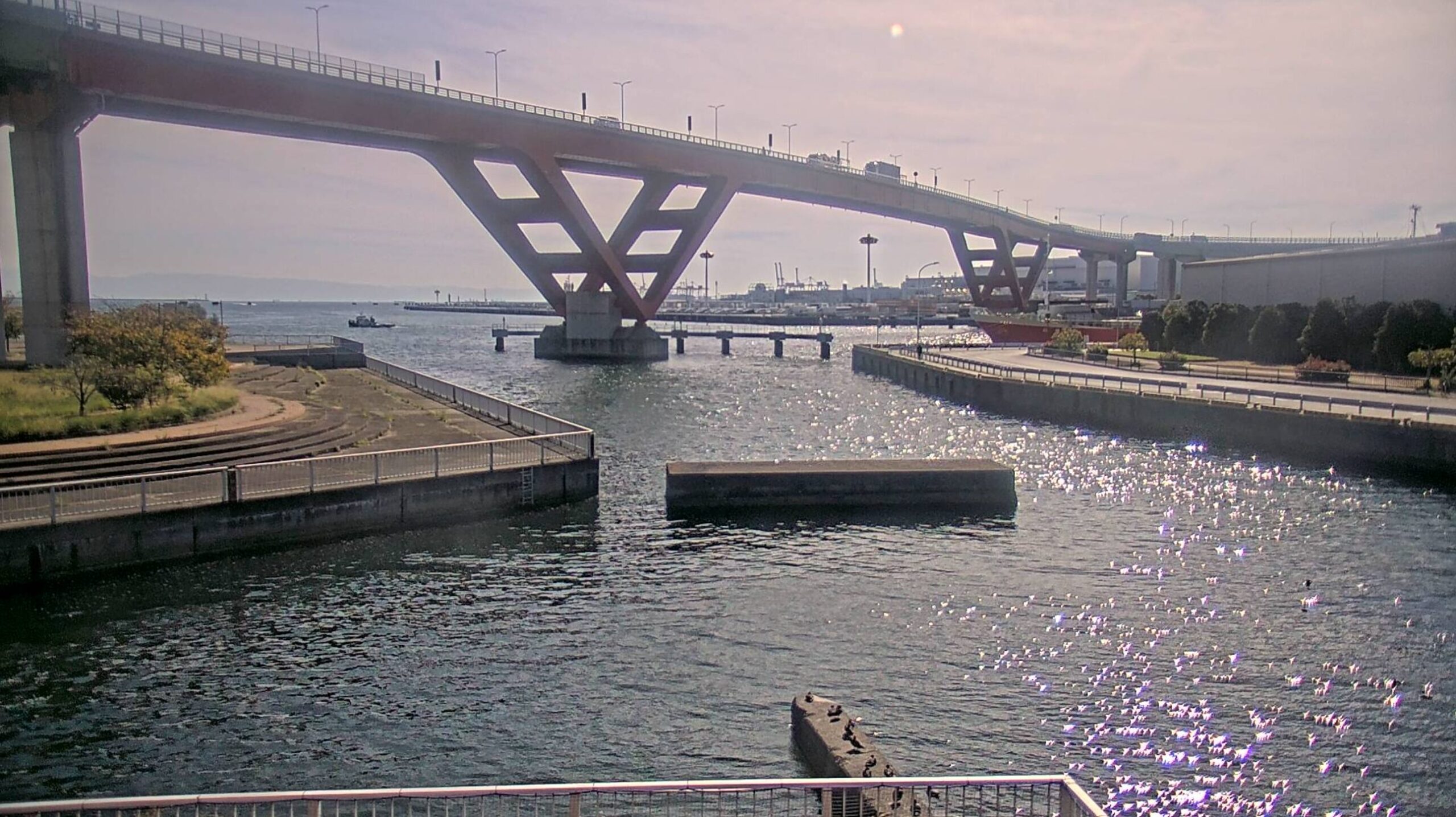 灘浜緑地ライブカメラ(兵庫県神戸市灘区灘浜東町)