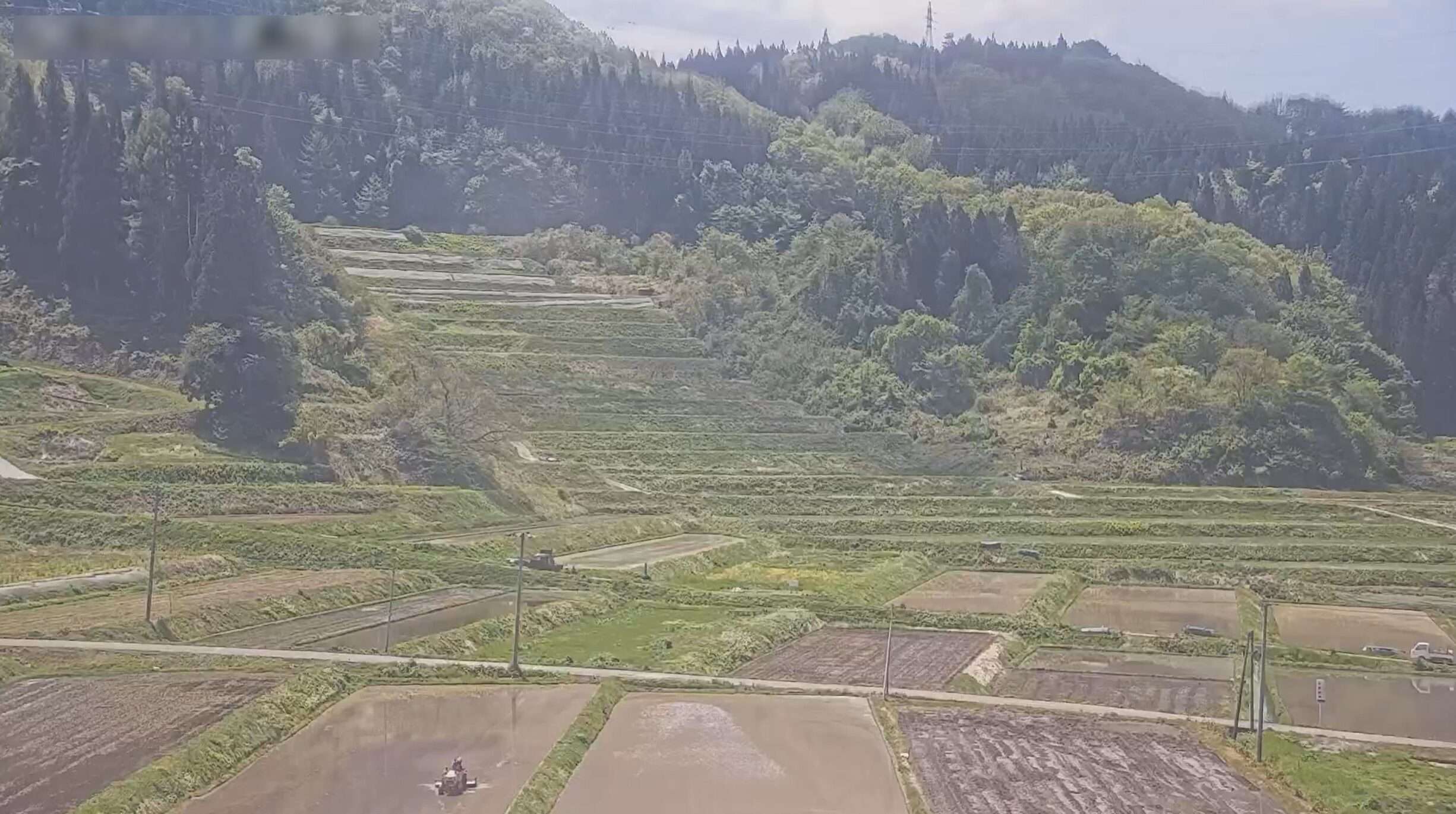 大蕨の棚田ライブカメラ(山形県山辺町大蕨)