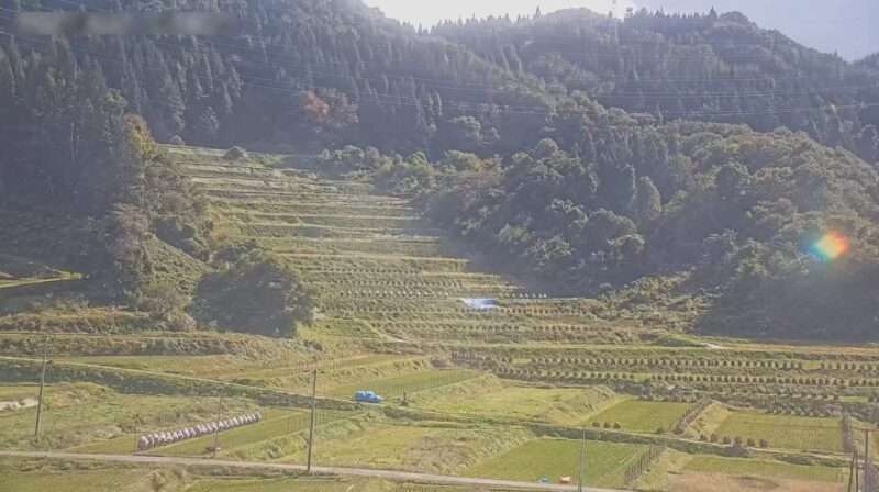 大蕨の棚田ライブカメラ(山形県山辺町大蕨)