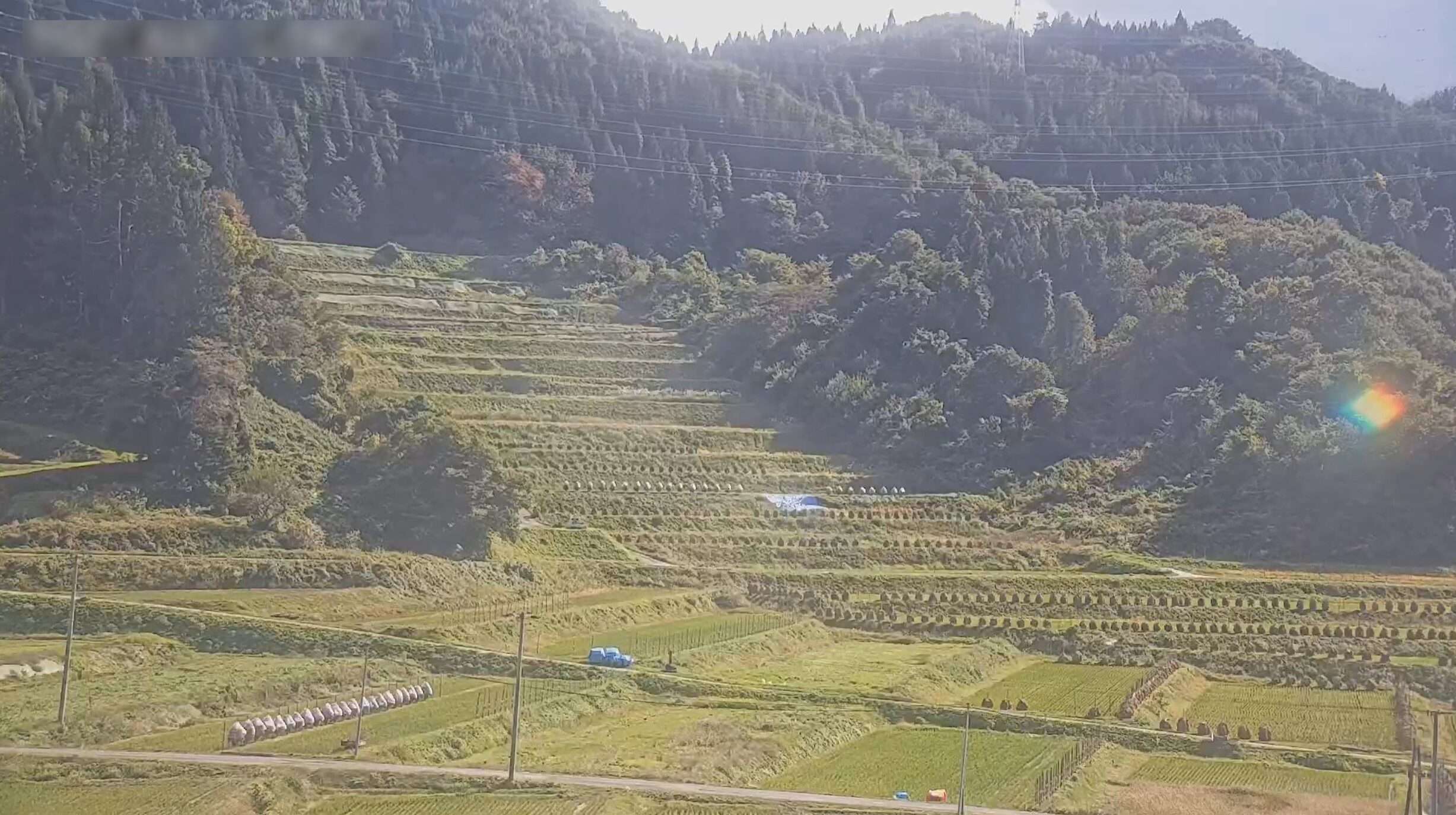 大蕨の棚田ライブカメラ(山形県山辺町大蕨)