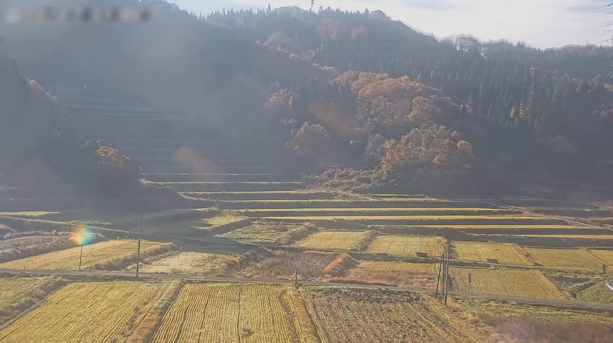 大蕨の棚田ライブカメラ(山形県山辺町大蕨)