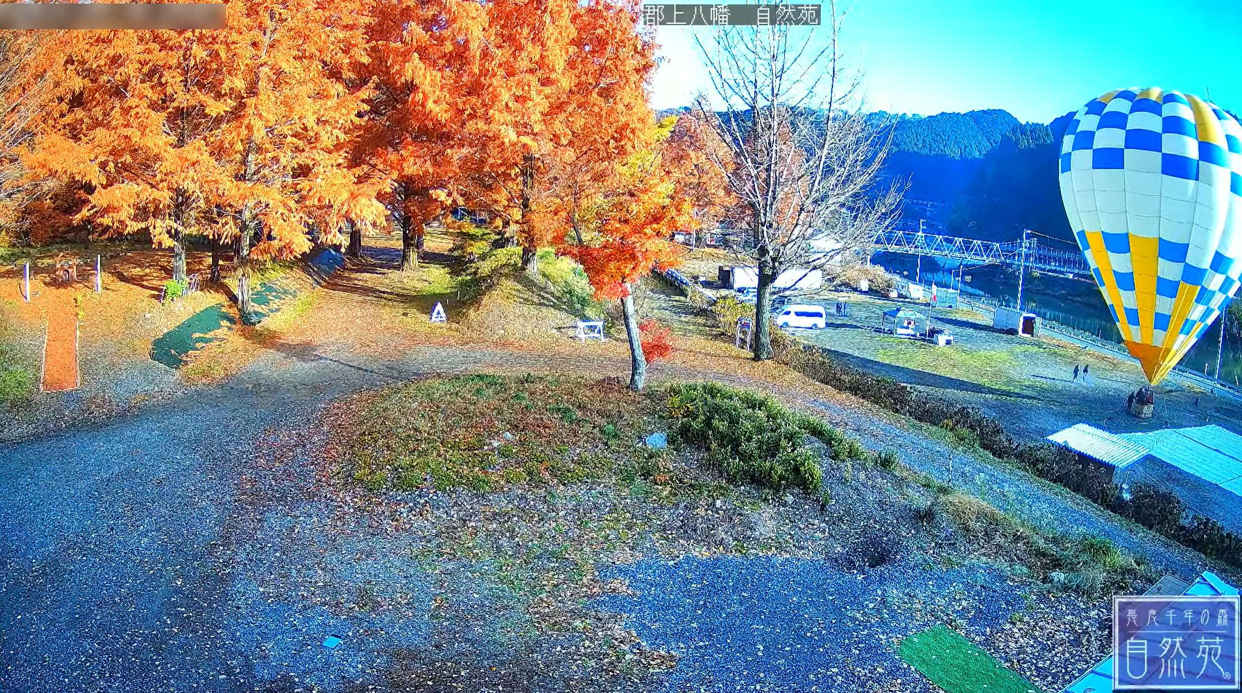 郡上八幡自然苑ライブカメラ(岐阜県郡上市八幡町有坂)