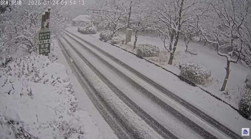 アイキャン傍示ヶ峠ライブカメラ(山口県岩国市錦町大野) 2026年1月24日9時54分 積雪