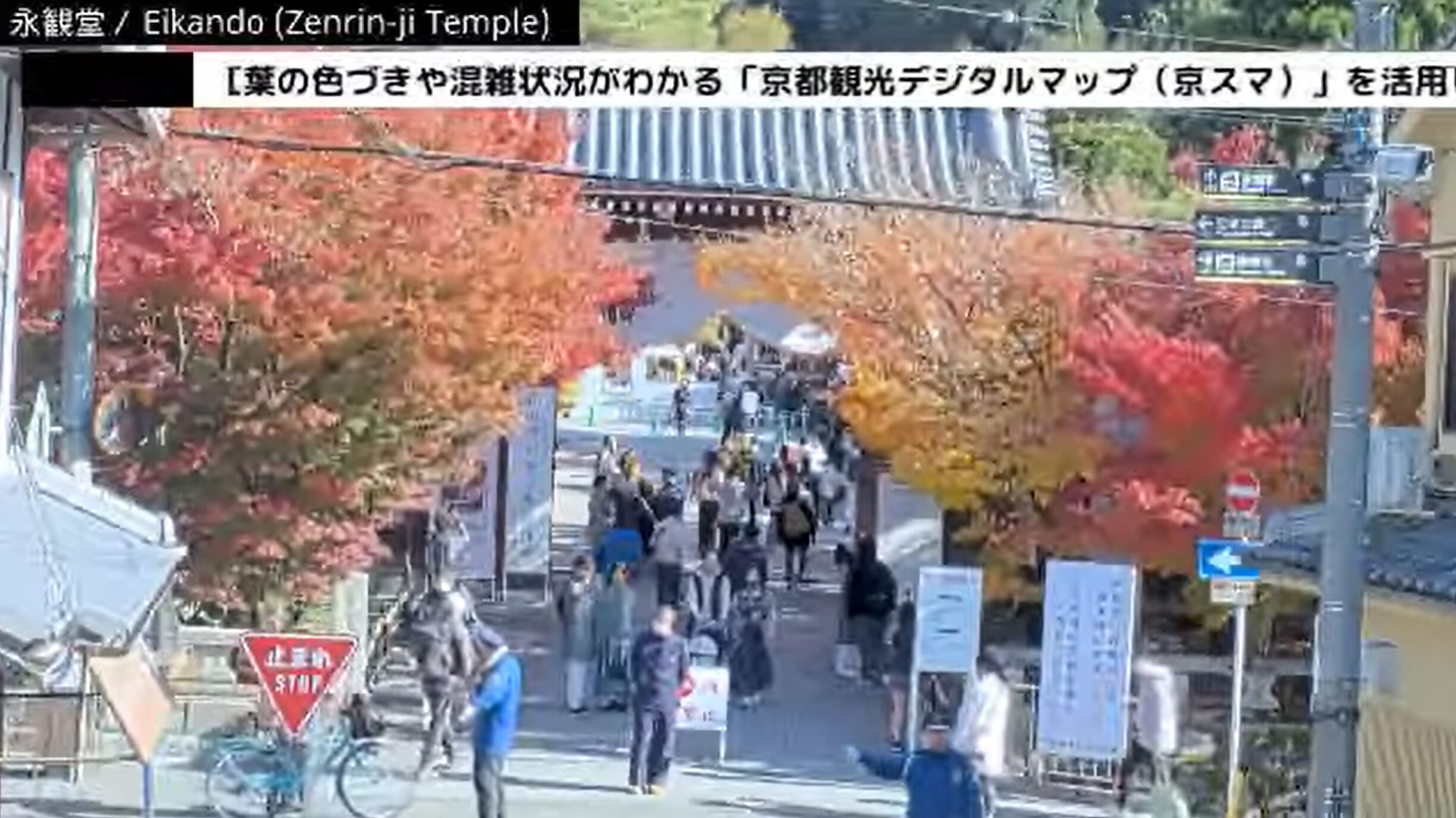 永観堂ライブカメラ(京都府京都市左京区永観堂町)