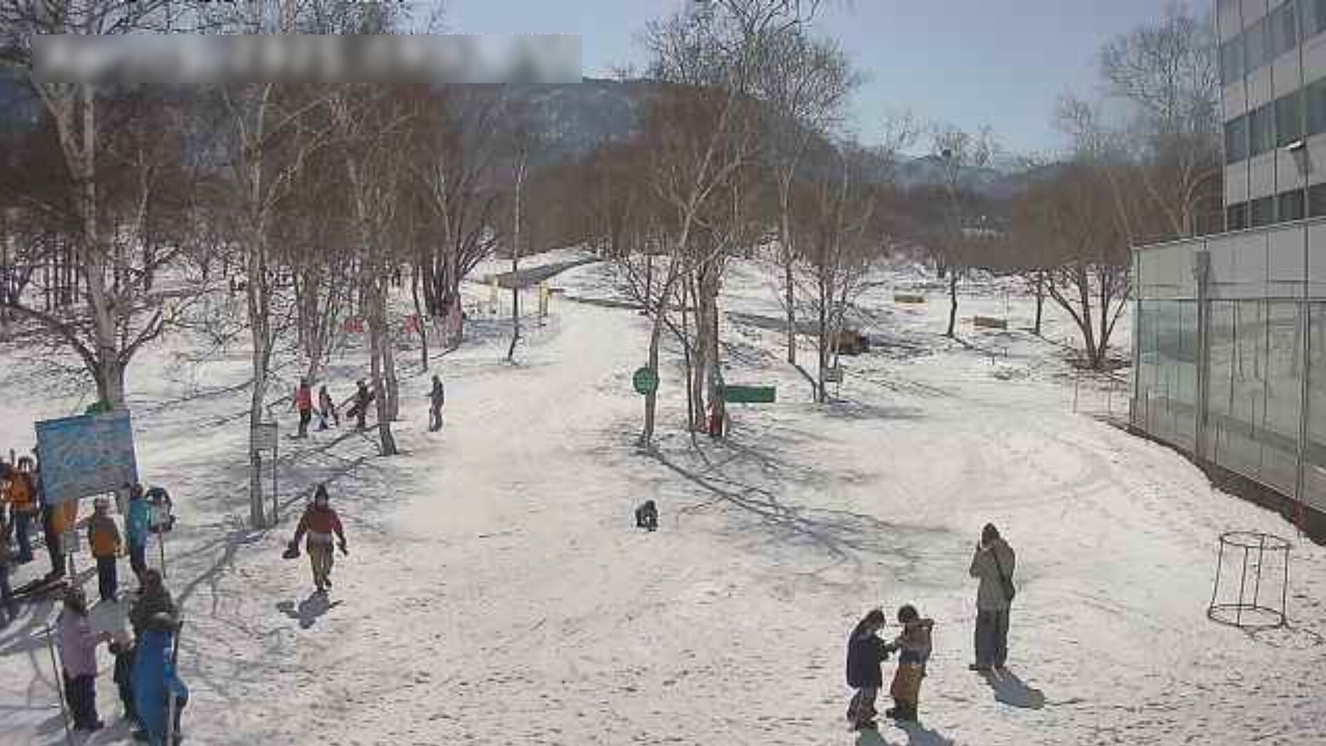 水上高原ホテル200レストラン白樺前ゲレンデライブカメラ(群馬県みなかみ町藤原)