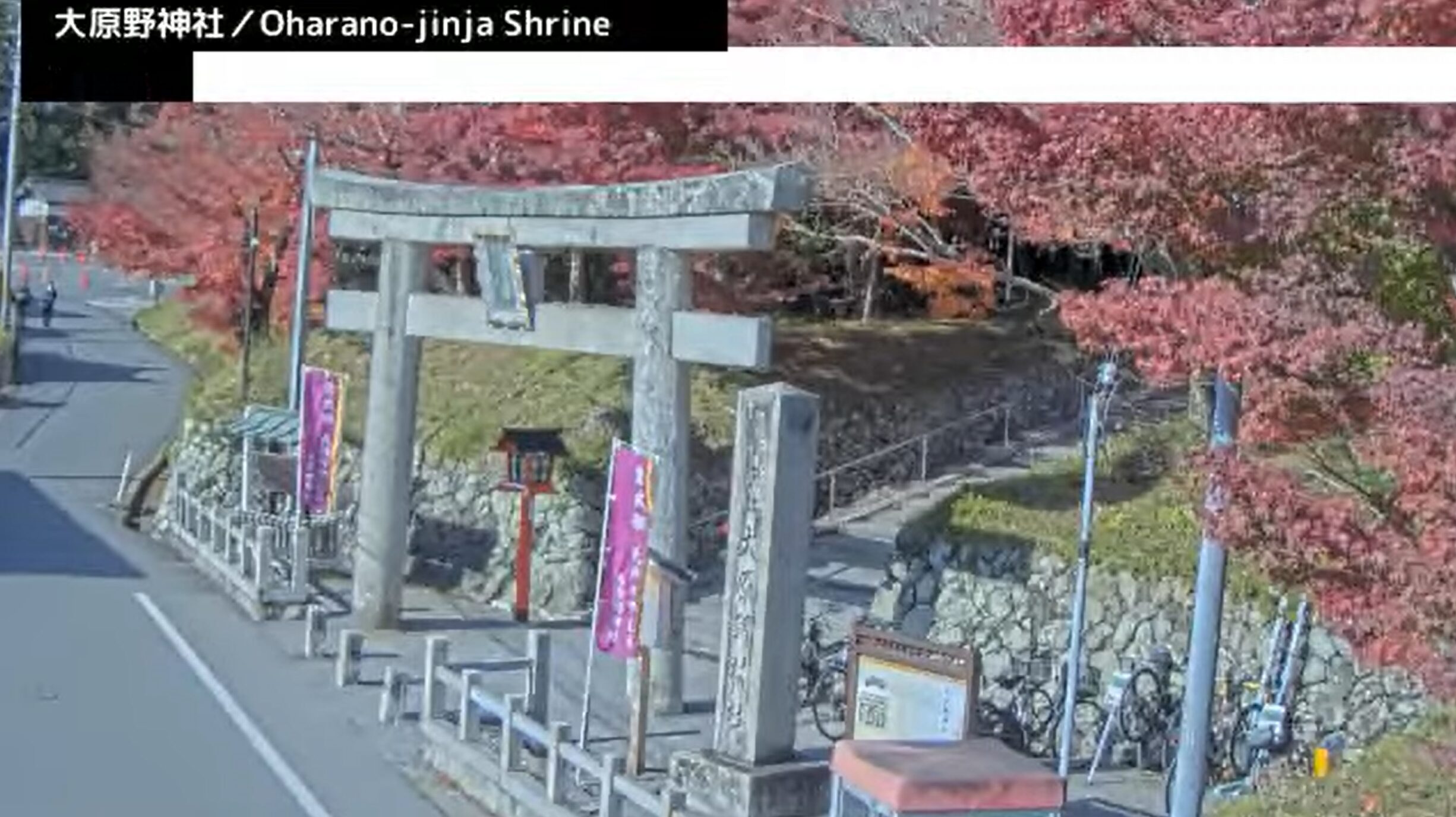 大原野神社ライブカメラ(京都府京都市西京区大原野南春日町)