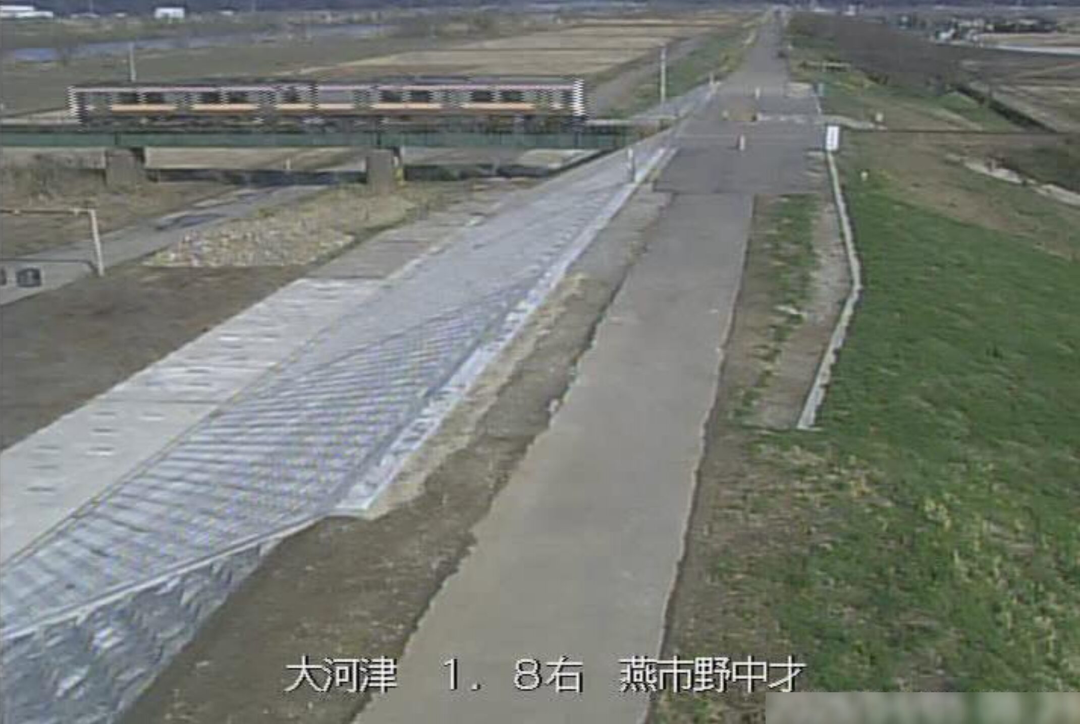 大河津分水路野中才ライブカメラ(新潟県燕市野中才)