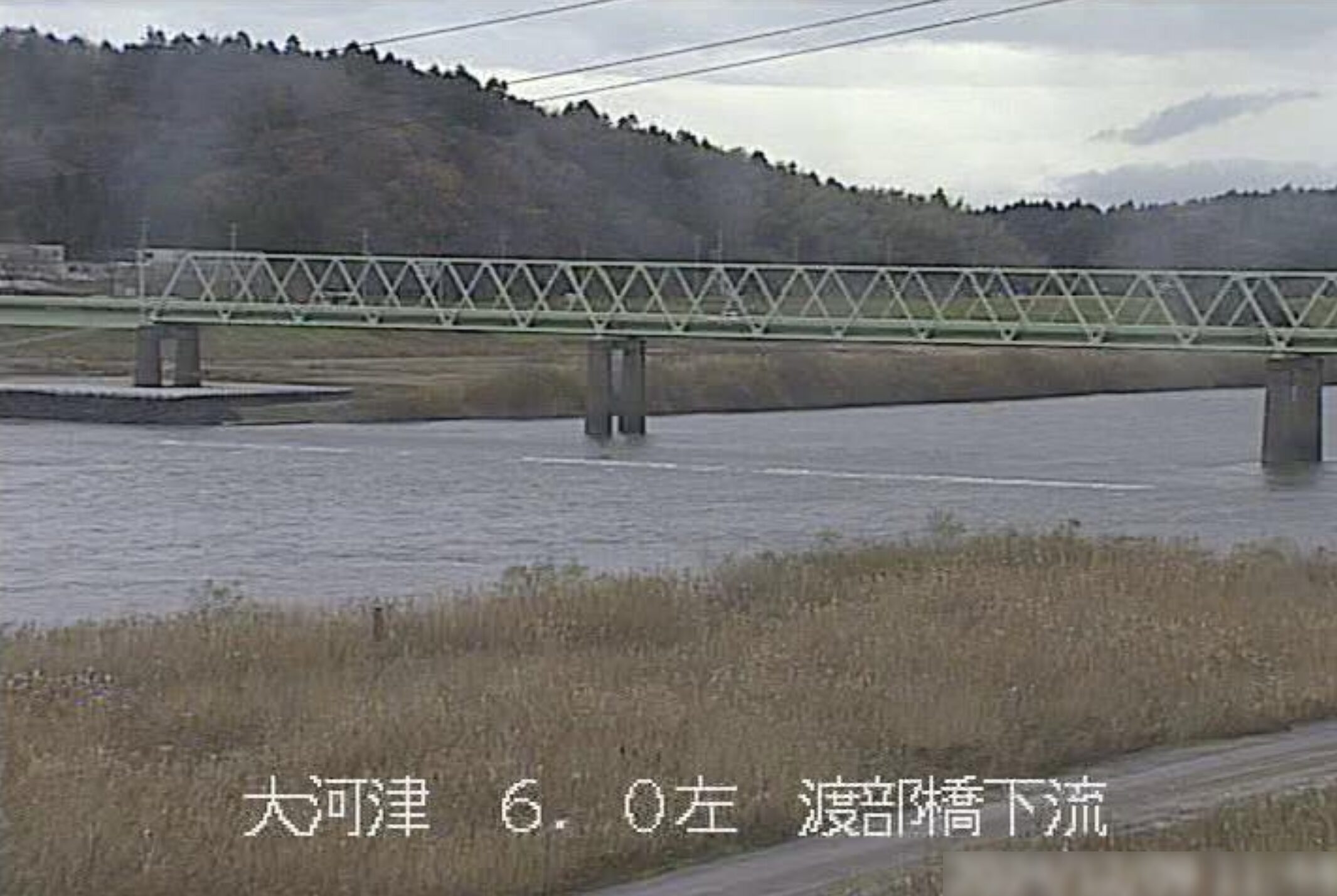 大河津分水路渡部橋下流ライブカメラ(新潟県燕市渡部)