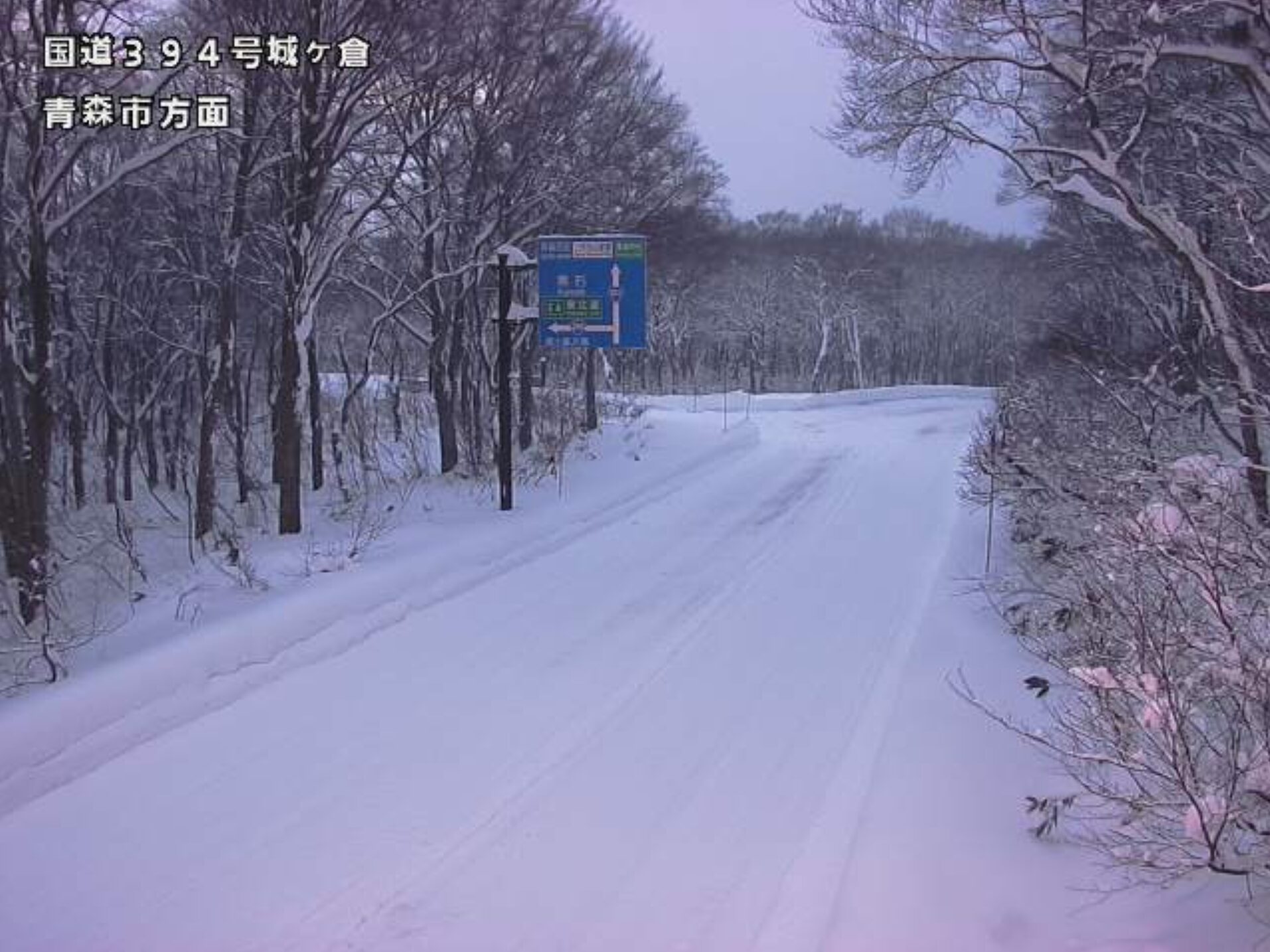 国道103号城ヶ倉第2ライブカメラ(青森県青森市荒川)