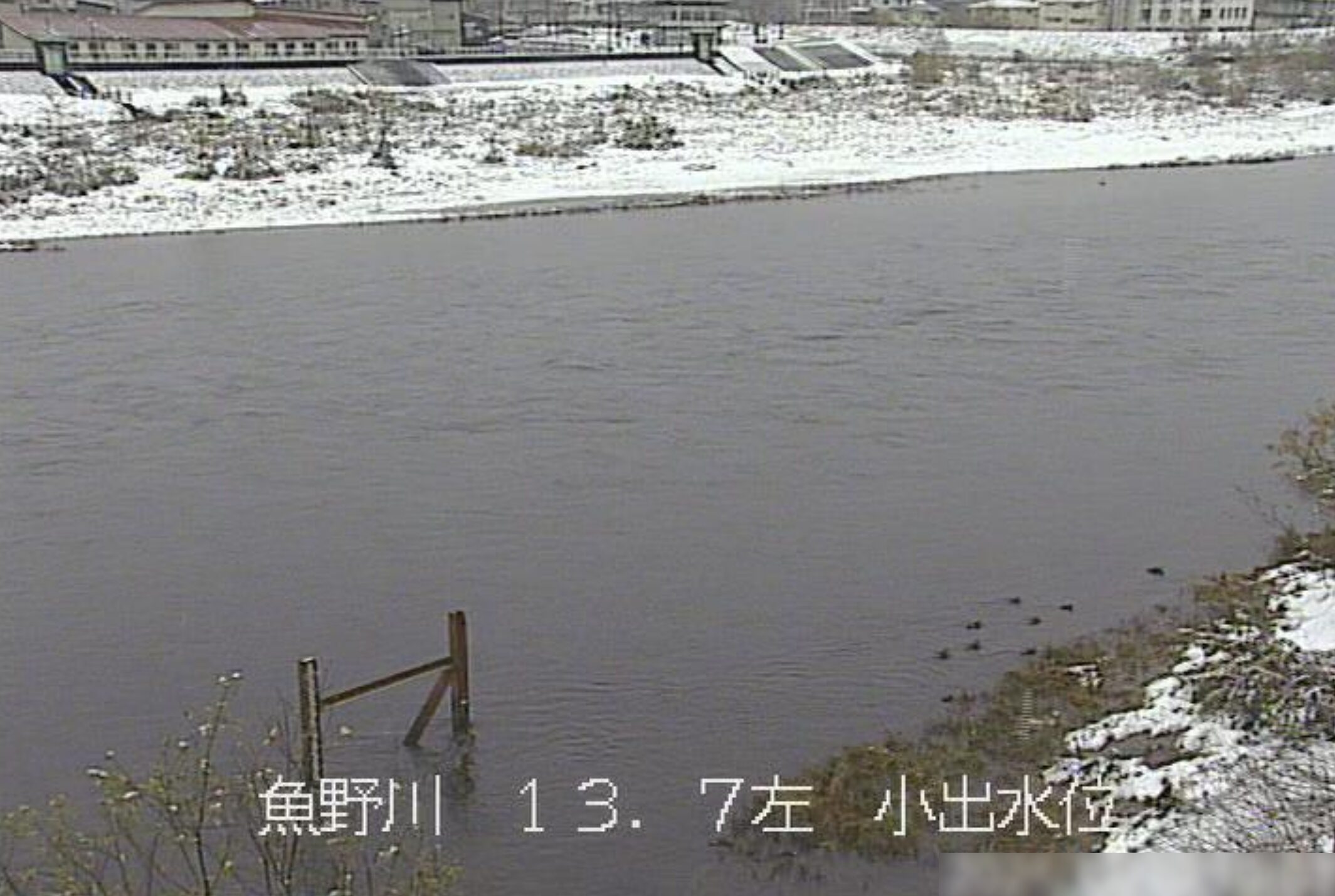 魚野川小出水位観測所ライブカメラ(新潟県魚沼市青島)