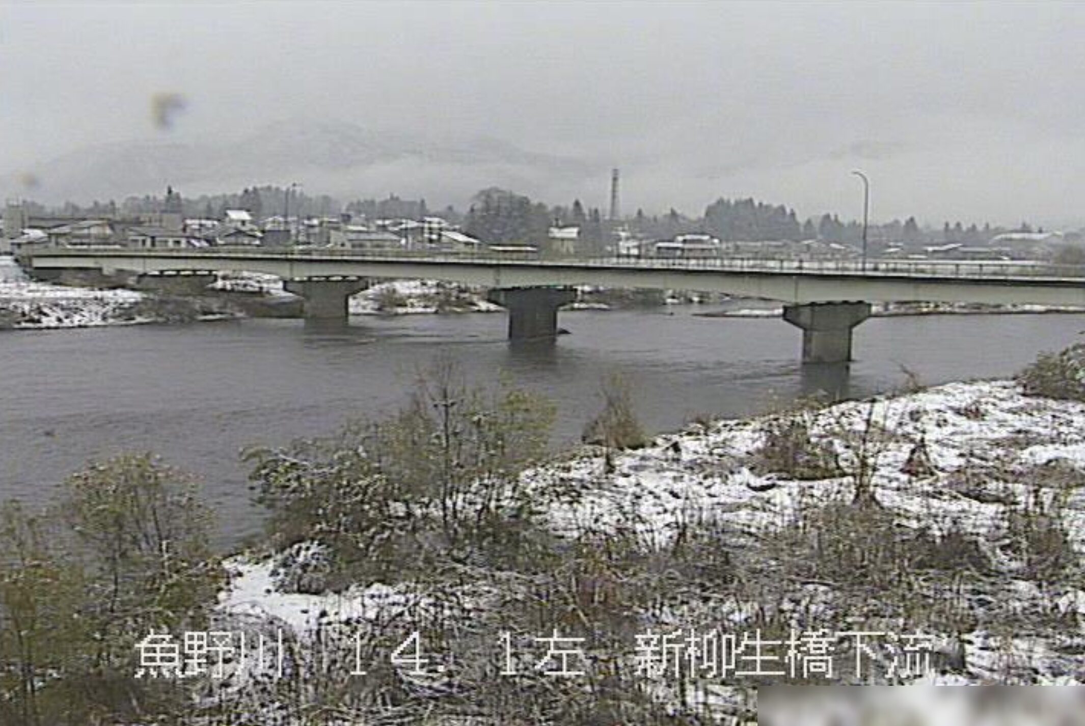 魚野川新柳生橋下流ライブカメラ(新潟県魚沼市青島)