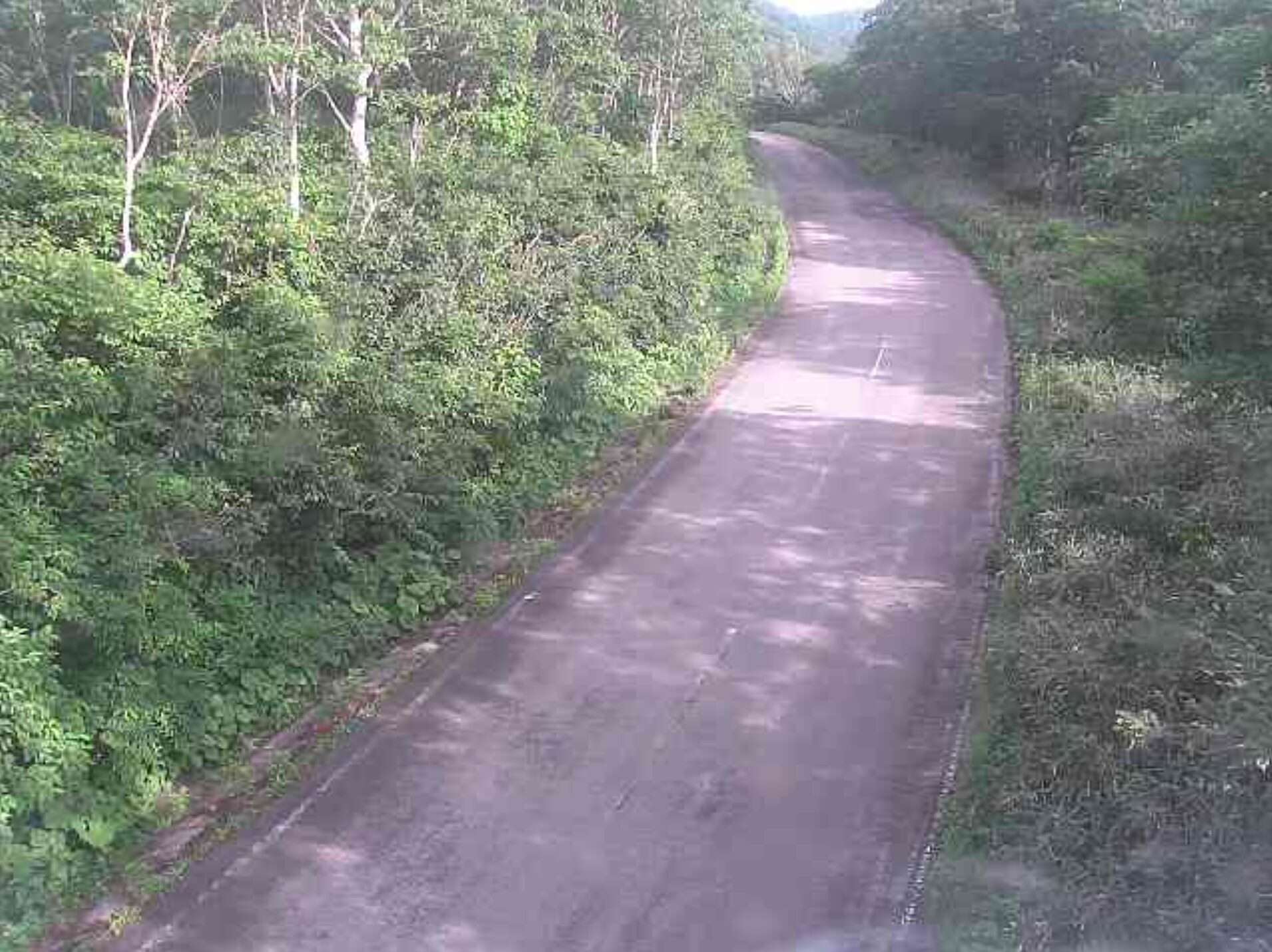 福島県道2号米沢猪苗代線西吾妻スカイバレー白布峠第2ライブカメラ(福島県北塩原村檜原)