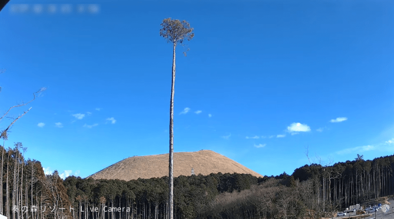奏の森リゾート大室山ライブカメラ(静岡県伊東市十足)