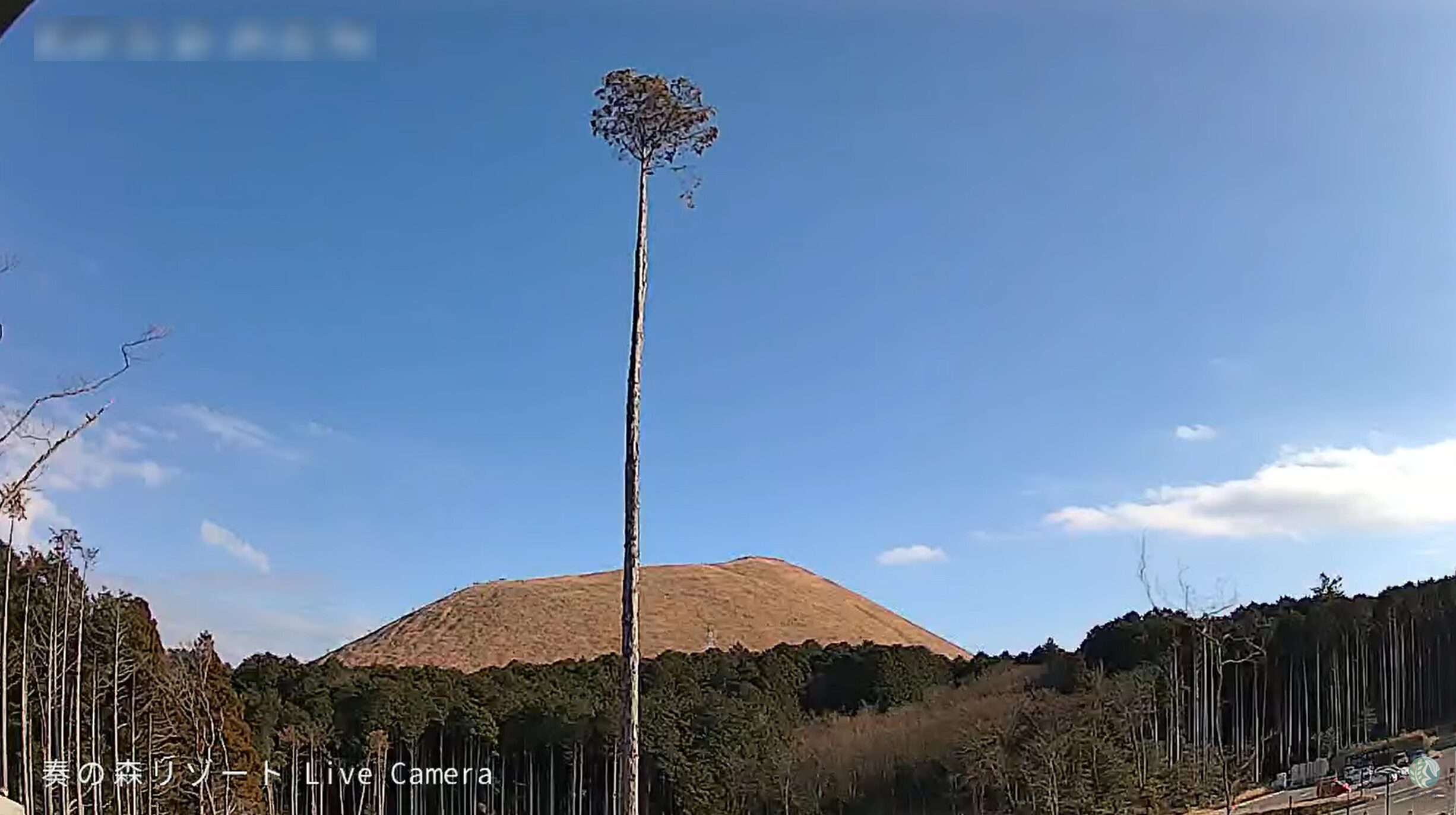 奏の森リゾート大室山ライブカメラ(静岡県伊東市十足)