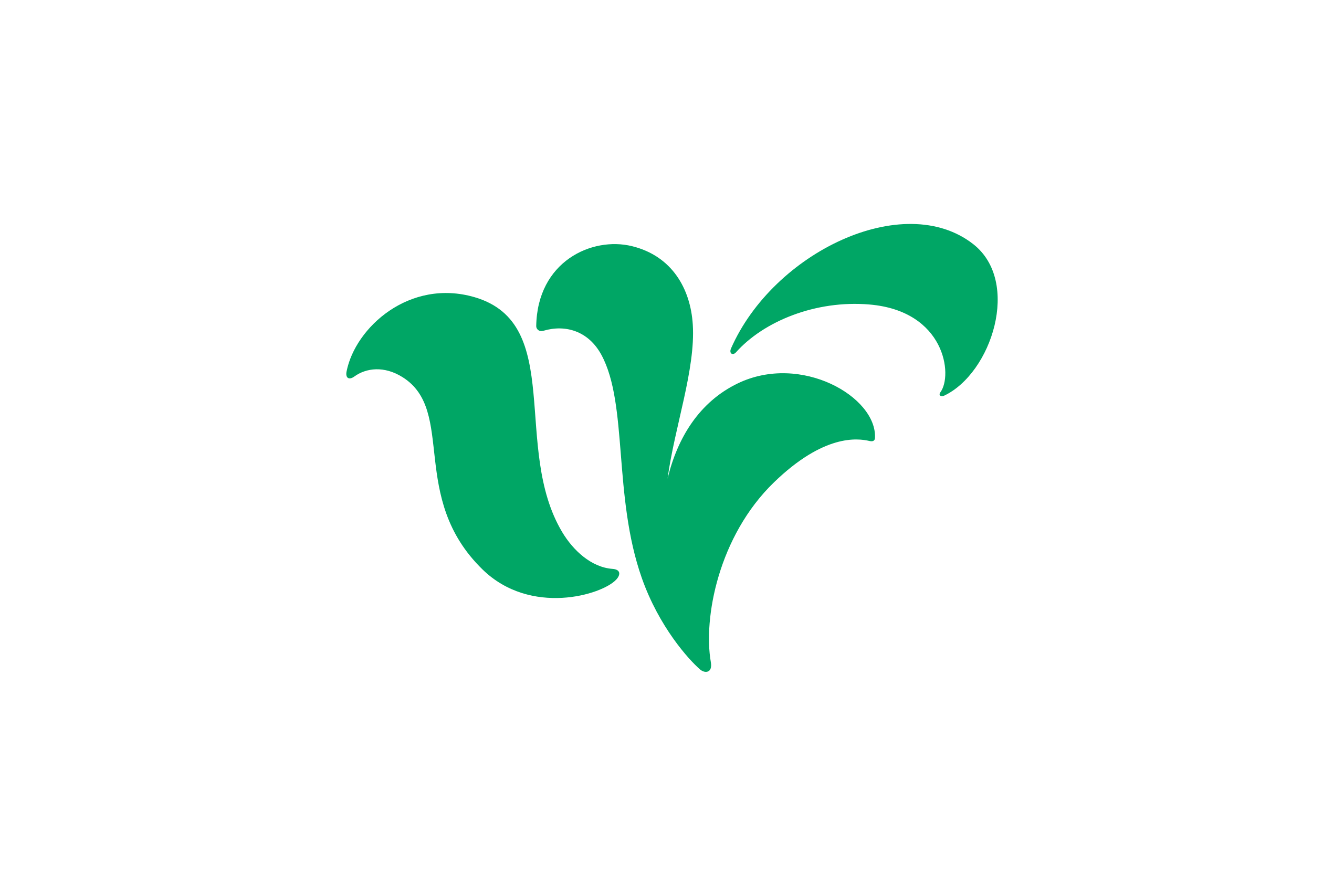 福井県若狭町のライブカメラ一覧