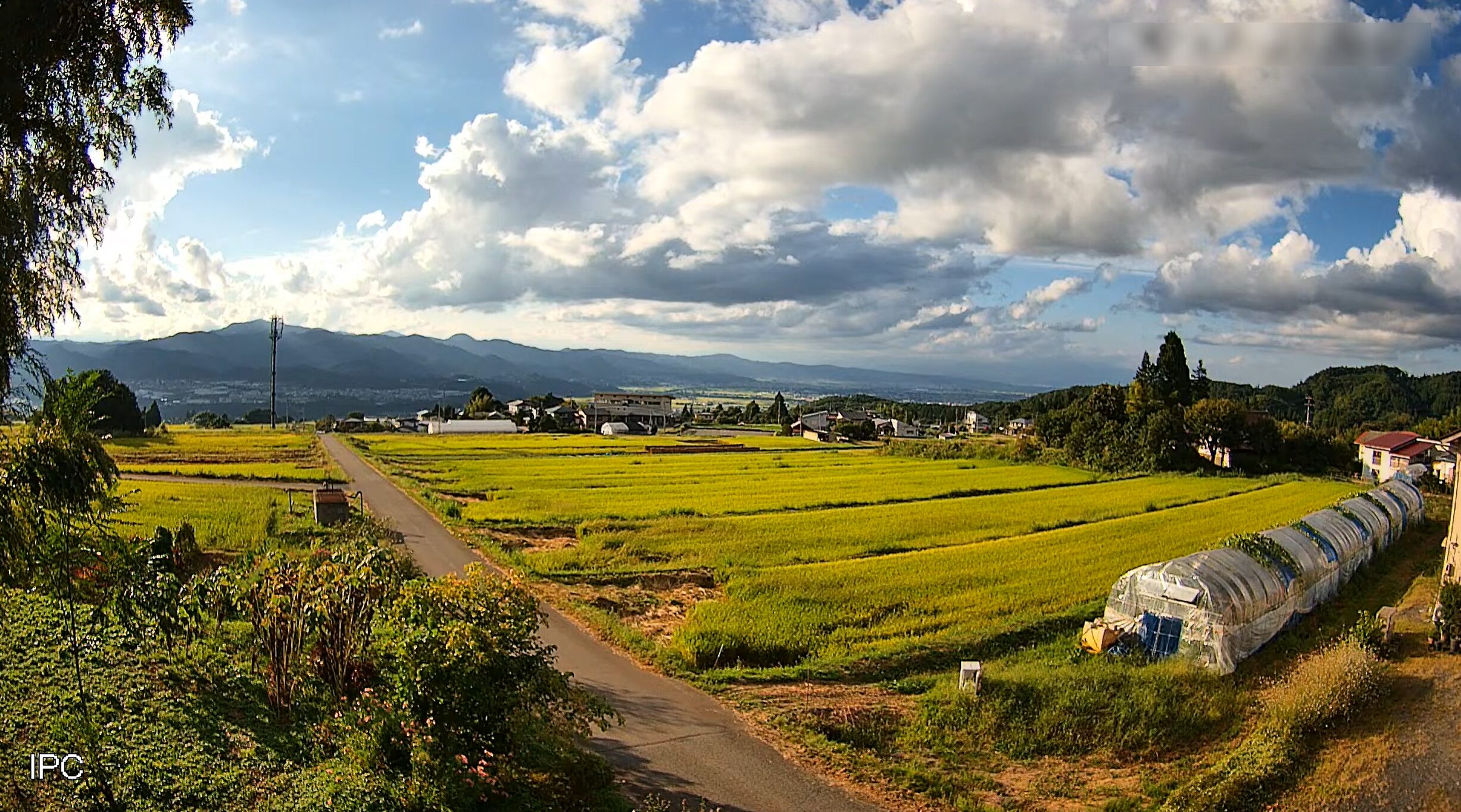 地蔵寺ライブカメラ(山形県山形市蔵王上野)