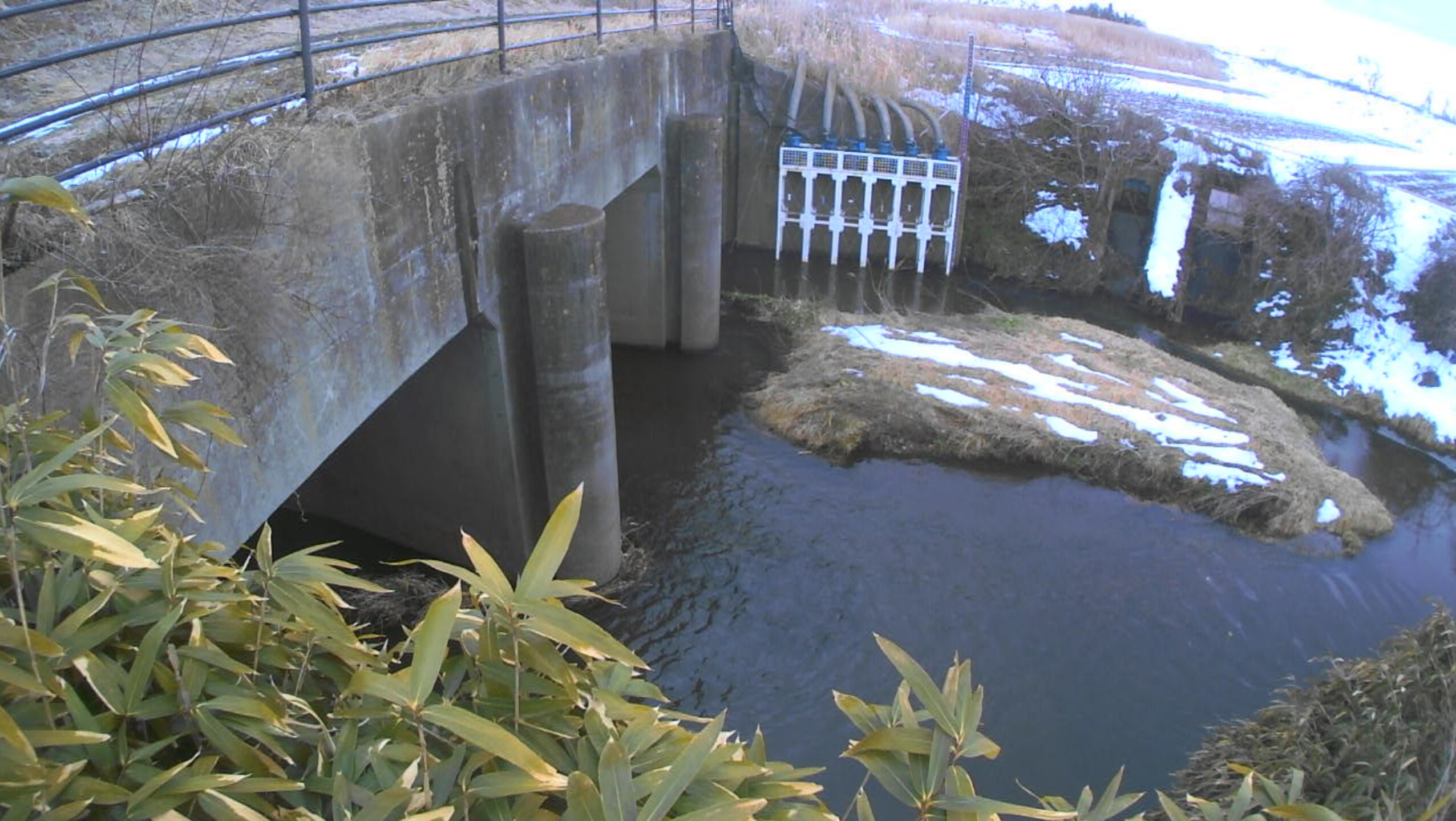 深川深川排水樋門ライブカメラ(宮城県加美町新川原)