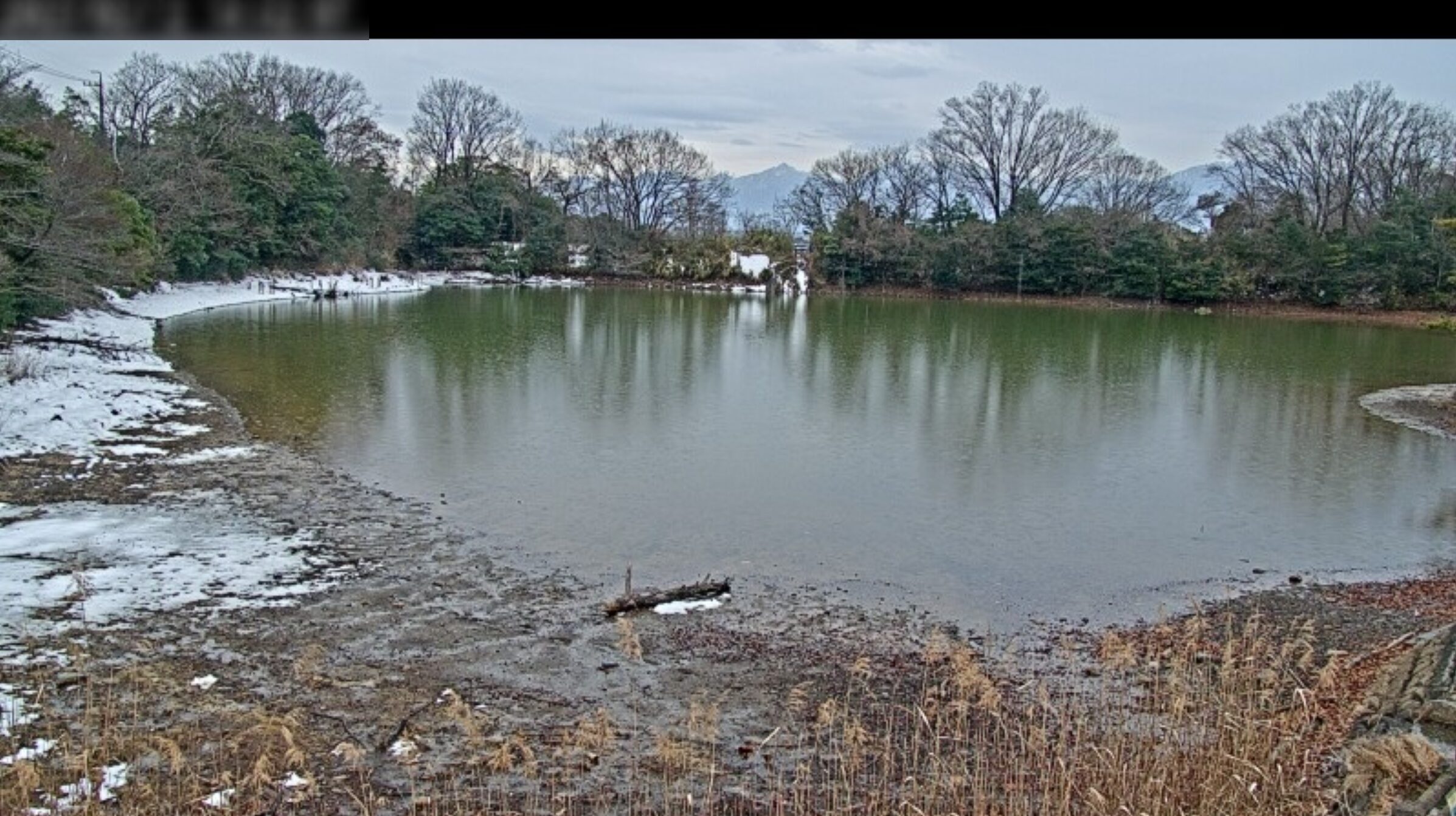 ラッキータウンテレビ山田溜公園ため池中段ライブカメラ(三重県東員町山田)