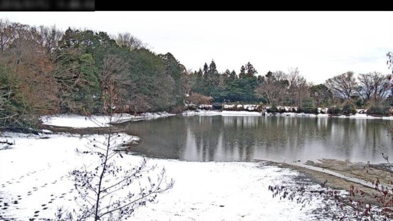 ラッキータウンテレビ山田溜公園ため池上段ライブカメラ(三重県東員町山田)