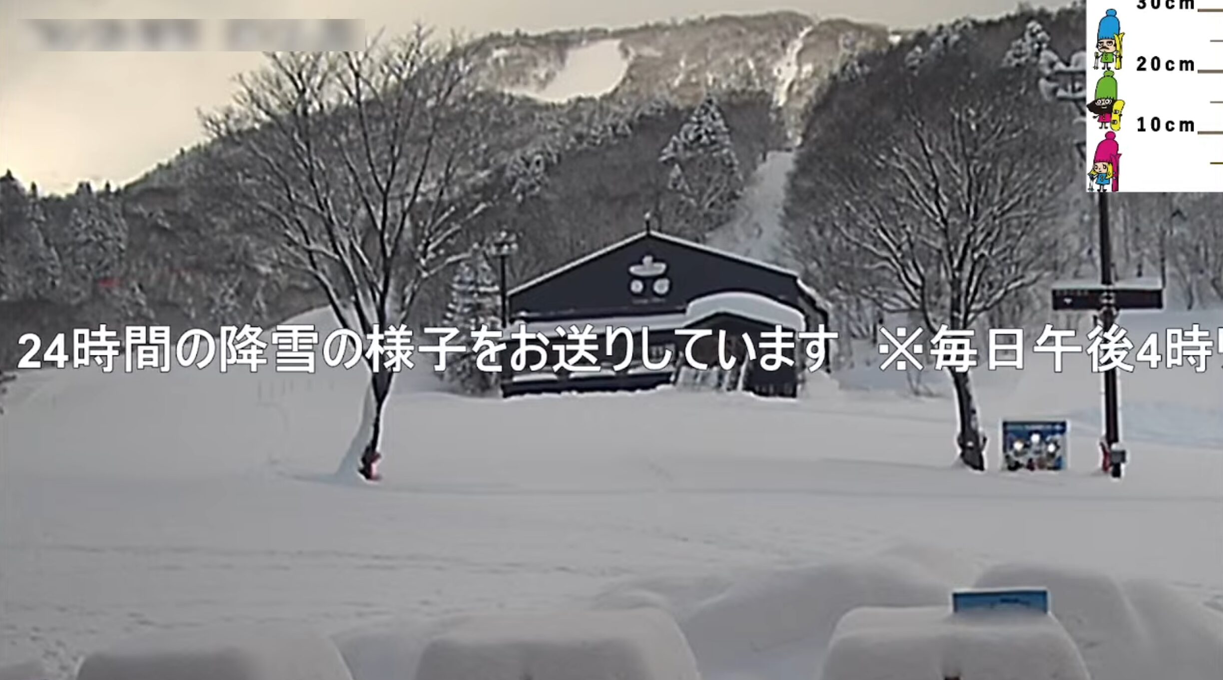 札幌国際スキー場24時間降雪量ライブカメラ(北海道札幌市南区)