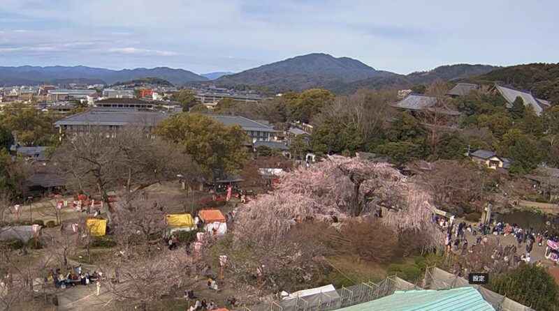 長楽館ライブカメラ(京都府京都市東山区円山町)