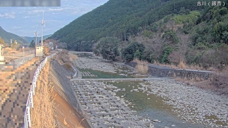 古川銀杏ライブカメラ(三重県尾鷲市賀田町)