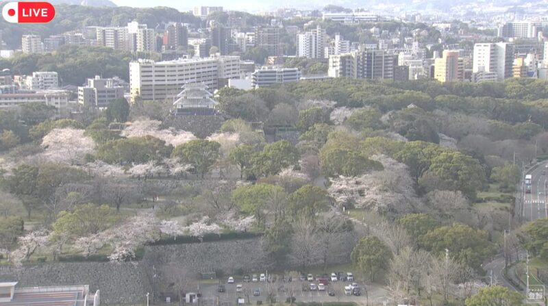 舞鶴公園桜ライブカメラ(福岡県福岡市中央区城内)