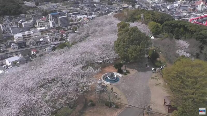 中尾城公園桜ライブカメラ(長崎県長与町吉無田郷)