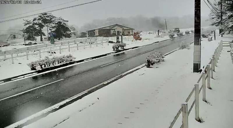 ポールラッシュ通りライブカメラ(山梨県北杜市高根町清里) 2026年3月3日 積雪