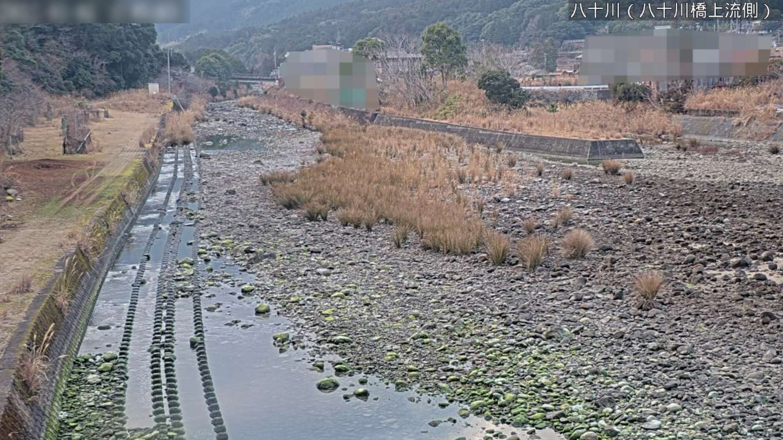 八十川八十川橋上流側ライブカメラ(三重県尾鷲市三木里町)